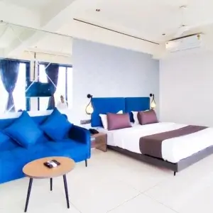 Bizz Pr. Suite With Jacuzzi Bubble Bath Massage Spa Tub